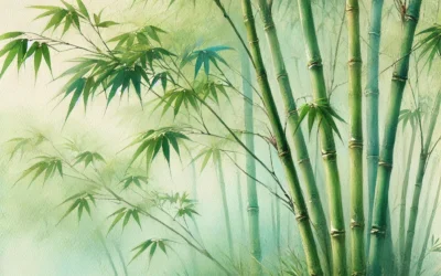 Le bambou : une plante puissante aux multiples facettes